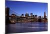 USA, New York City, Manhattan, Brooklyn Bridge, View from Brooklyn, Evening-Catharina Lux-Mounted Photographic Print