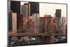 USA, New York City, Manhattan, Brooklyn Bridge, View from Brooklyn, Morning-Catharina Lux-Mounted Photographic Print