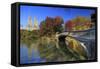 Usa, New York City, Manhattan, Central Park, Bow Bridge-Michele Falzone-Framed Stretched Canvas