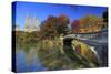 Usa, New York City, Manhattan, Central Park, Bow Bridge-Michele Falzone-Stretched Canvas