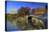 Usa, New York City, Manhattan, Central Park, Bow Bridge-Michele Falzone-Stretched Canvas