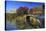 Usa, New York City, Manhattan, Central Park, Bow Bridge-Michele Falzone-Stretched Canvas