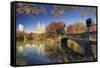 Usa, New York City, Manhattan, Central Park, Bow Bridge-Michele Falzone-Framed Stretched Canvas