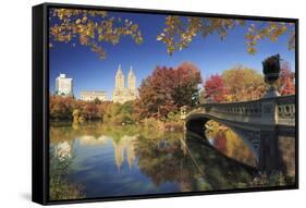 Usa, New York City, Manhattan, Central Park, Bow Bridge-Michele Falzone-Framed Stretched Canvas