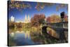 Usa, New York City, Manhattan, Central Park, Bow Bridge-Michele Falzone-Stretched Canvas