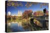 Usa, New York City, Manhattan, Central Park, Bow Bridge-Michele Falzone-Stretched Canvas