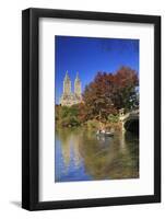 Usa, New York City, Manhattan, Central Park, Bow Bridge-Michele Falzone-Framed Photographic Print