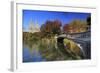 Usa, New York City, Manhattan, Central Park, Bow Bridge-Michele Falzone-Framed Photographic Print