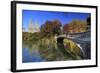 Usa, New York City, Manhattan, Central Park, Bow Bridge-Michele Falzone-Framed Photographic Print