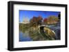 Usa, New York City, Manhattan, Central Park, Bow Bridge-Michele Falzone-Framed Photographic Print