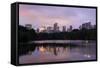 USA, New York City, Manhattan, Central Park, the Lake, View Westwards, Dusk-Catharina Lux-Framed Stretched Canvas