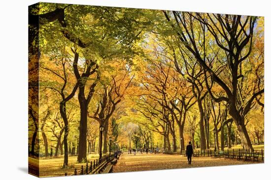 Usa, New York City, Manhattan, Central Park, the Mall-Michele Falzone-Stretched Canvas