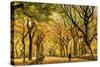 Usa, New York City, Manhattan, Central Park, the Mall-Michele Falzone-Stretched Canvas