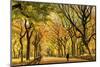 Usa, New York City, Manhattan, Central Park, the Mall-Michele Falzone-Mounted Premium Photographic Print