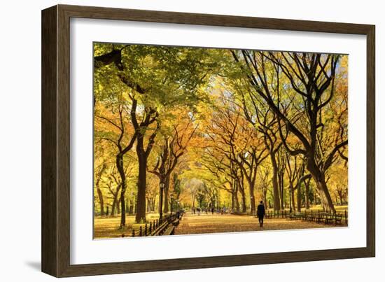 Usa, New York City, Manhattan, Central Park, the Mall-Michele Falzone-Framed Premium Photographic Print