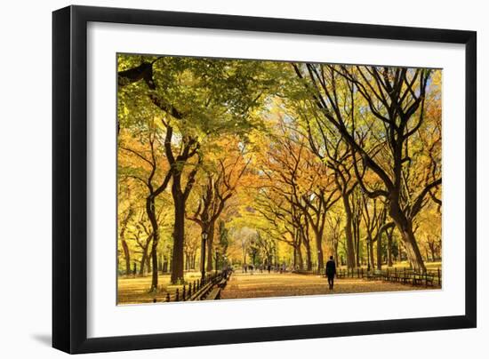 Usa, New York City, Manhattan, Central Park, the Mall-Michele Falzone-Framed Premium Photographic Print