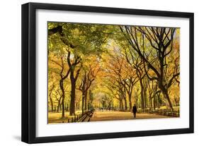 Usa, New York City, Manhattan, Central Park, the Mall-Michele Falzone-Framed Premium Photographic Print