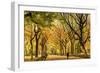 Usa, New York City, Manhattan, Central Park, the Mall-Michele Falzone-Framed Premium Photographic Print