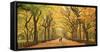 Usa, New York City, Manhattan, Central Park, the Mall-Michele Falzone-Framed Stretched Canvas