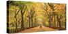 Usa, New York City, Manhattan, Central Park, the Mall-Michele Falzone-Stretched Canvas