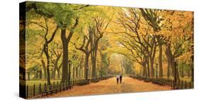 Usa, New York City, Manhattan, Central Park, the Mall-Michele Falzone-Stretched Canvas