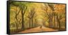 Usa, New York City, Manhattan, Central Park, the Mall-Michele Falzone-Framed Stretched Canvas