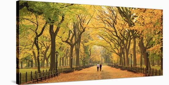Usa, New York City, Manhattan, Central Park, the Mall-Michele Falzone-Stretched Canvas