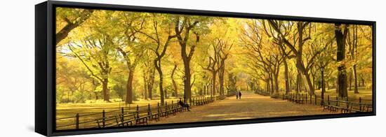 Usa, New York City, Manhattan, Central Park, the Mall-Michele Falzone-Framed Stretched Canvas