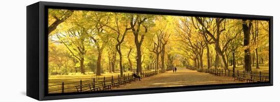 Usa, New York City, Manhattan, Central Park, the Mall-Michele Falzone-Framed Stretched Canvas