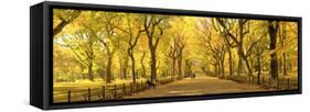Usa, New York City, Manhattan, Central Park, the Mall-Michele Falzone-Framed Stretched Canvas