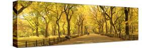 Usa, New York City, Manhattan, Central Park, the Mall-Michele Falzone-Stretched Canvas