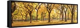 Usa, New York City, Manhattan, Central Park, the Mall-Michele Falzone-Framed Stretched Canvas