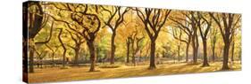 Usa, New York City, Manhattan, Central Park, the Mall-Michele Falzone-Stretched Canvas