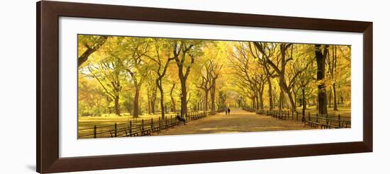 Usa, New York City, Manhattan, Central Park, the Mall-Michele Falzone-Framed Photographic Print