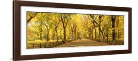 Usa, New York City, Manhattan, Central Park, the Mall-Michele Falzone-Framed Photographic Print