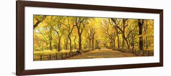 Usa, New York City, Manhattan, Central Park, the Mall-Michele Falzone-Framed Photographic Print