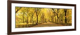 Usa, New York City, Manhattan, Central Park, the Mall-Michele Falzone-Framed Photographic Print