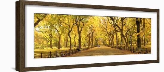 Usa, New York City, Manhattan, Central Park, the Mall-Michele Falzone-Framed Photographic Print