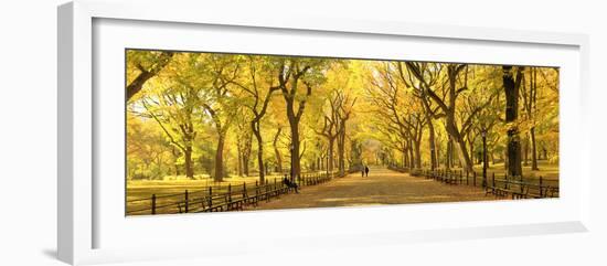 Usa, New York City, Manhattan, Central Park, the Mall-Michele Falzone-Framed Photographic Print