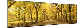 Usa, New York City, Manhattan, Central Park, the Mall-Michele Falzone-Mounted Photographic Print