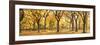 Usa, New York City, Manhattan, Central Park, the Mall-Michele Falzone-Framed Photographic Print