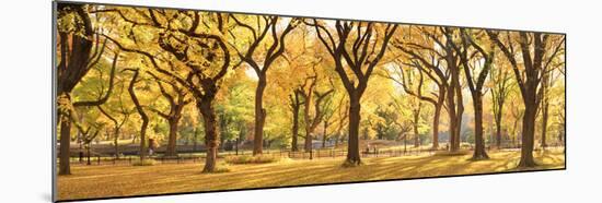 Usa, New York City, Manhattan, Central Park, the Mall-Michele Falzone-Mounted Photographic Print