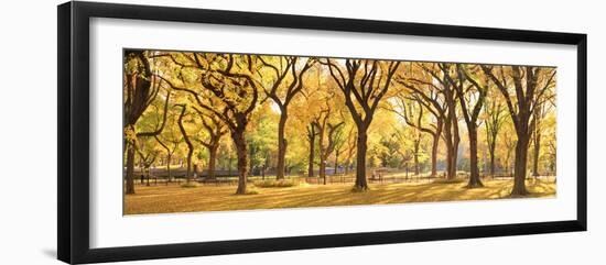 Usa, New York City, Manhattan, Central Park, the Mall-Michele Falzone-Framed Photographic Print