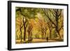 Usa, New York City, Manhattan, Central Park, the Mall-Michele Falzone-Framed Photographic Print