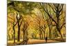 Usa, New York City, Manhattan, Central Park, the Mall-Michele Falzone-Mounted Photographic Print