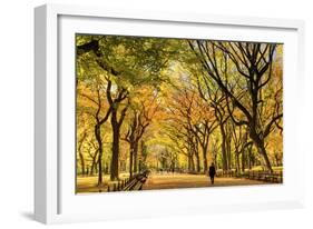 Usa, New York City, Manhattan, Central Park, the Mall-Michele Falzone-Framed Photographic Print