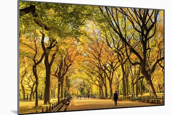 Usa, New York City, Manhattan, Central Park, the Mall-Michele Falzone-Mounted Photographic Print