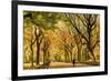 Usa, New York City, Manhattan, Central Park, the Mall-Michele Falzone-Framed Photographic Print