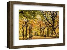 Usa, New York City, Manhattan, Central Park, the Mall-Michele Falzone-Framed Photographic Print