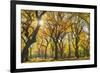 Usa, New York City, Manhattan, Central Park, the Mall-Michele Falzone-Framed Photographic Print